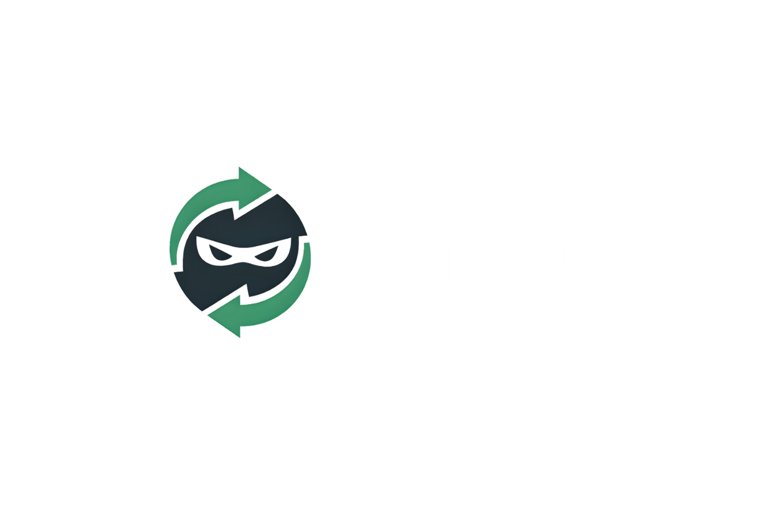 ScrapNinja